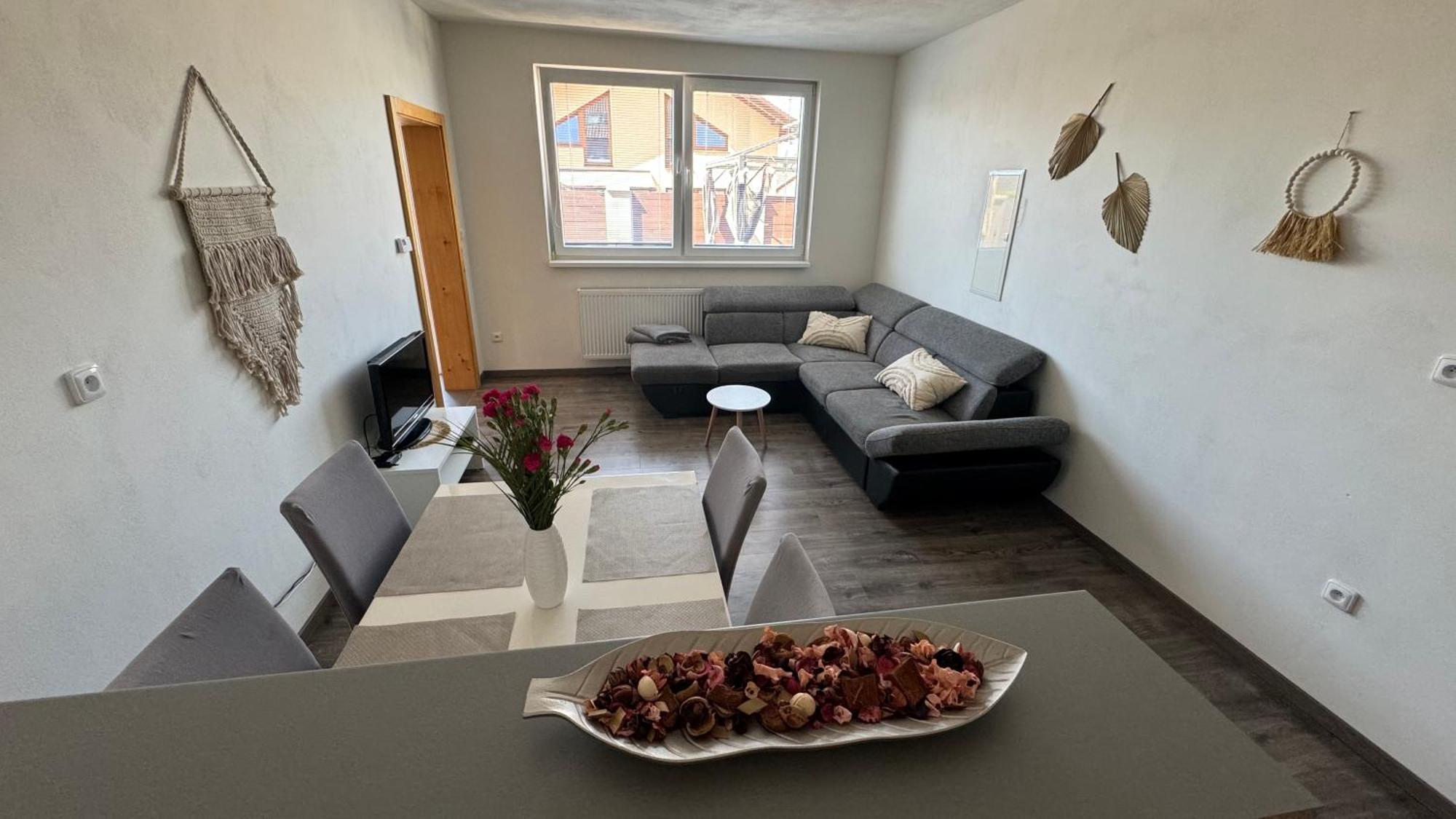 Apartman Lilly Borovany  Buitenkant foto